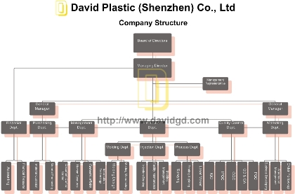 David Organization Chart